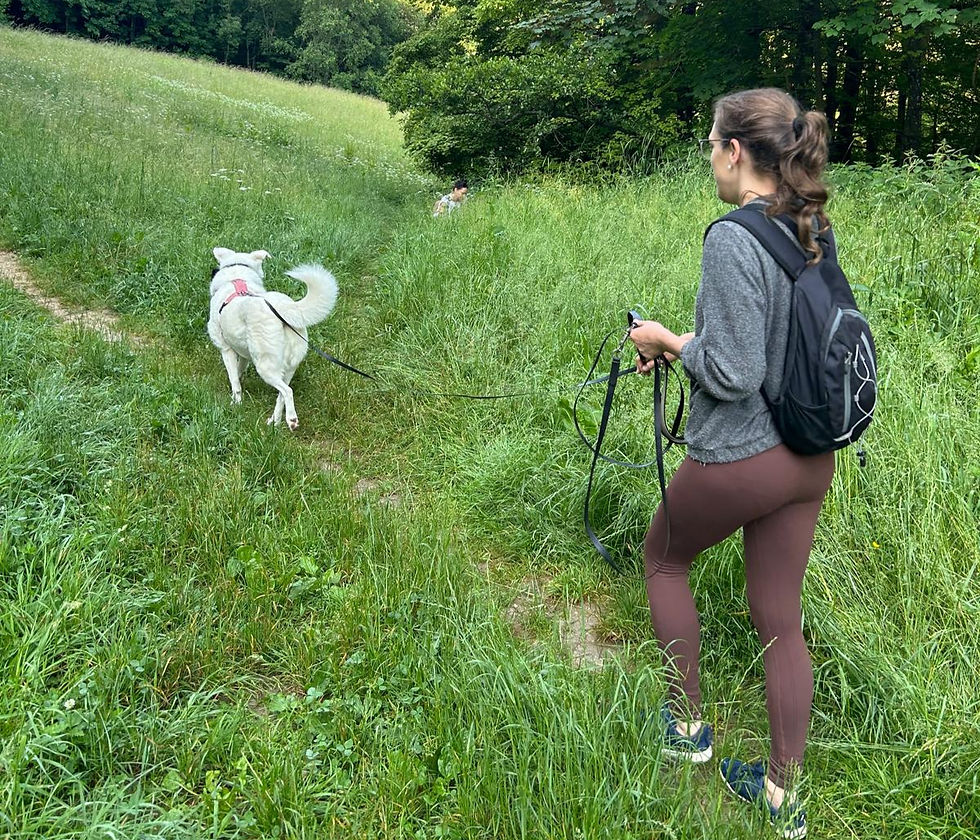 Ein Team trailt auf einer Wiese