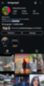 Instagram profile page of "bmsgangx2" with a Pepe avatar. Shows posts count, followers, and following. Includes meme thumbnails below.