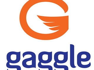 Gaggle, Vote, Essay