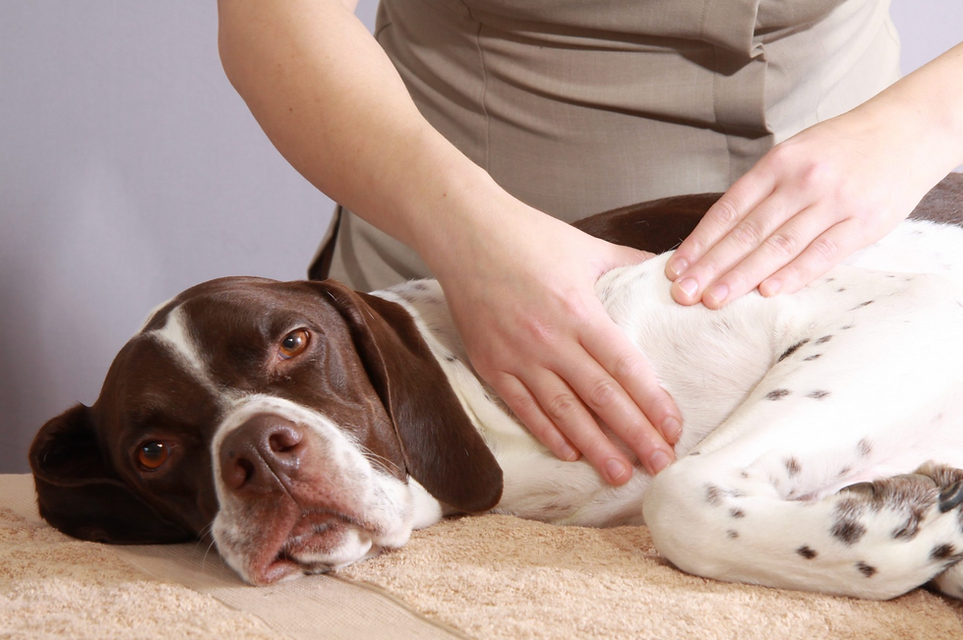 Screenshot 2023-12-19 at 8.21.49 PM.png