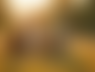 Tiergestützte Aktivitäten mit Alpakas in familiärer Atmosphäre