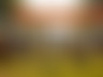 Offiziell genehmigte Alpaka- und Lama-Veranstaltungen in der Uckermark