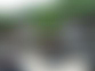 বিহংগম (নৱম খণ্ড) – যাদু আৰু সাধুৰ দেশৰ দিহিঙে দিপাঙে