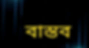 বাস্তব