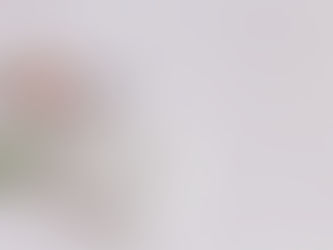 বিস্তীৰ্ণ জীৱনৰ এখিলা পাত