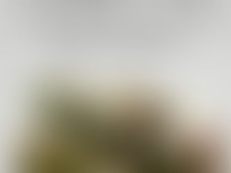 ভোগালীৰ শুভেচ্ছাৰে