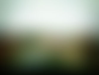 ফাগুনৰ প্ৰথম পূৱা