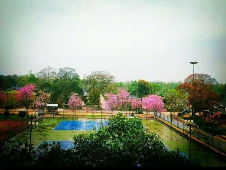 ফাগুনৰ প্ৰথম পূৱা