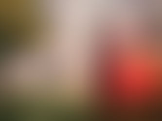 জীৱন যুদ্ধ