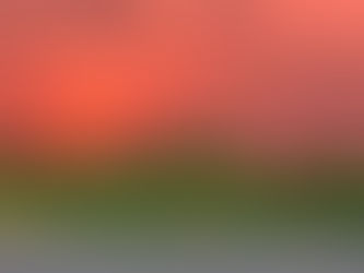 চাকনৈয়া