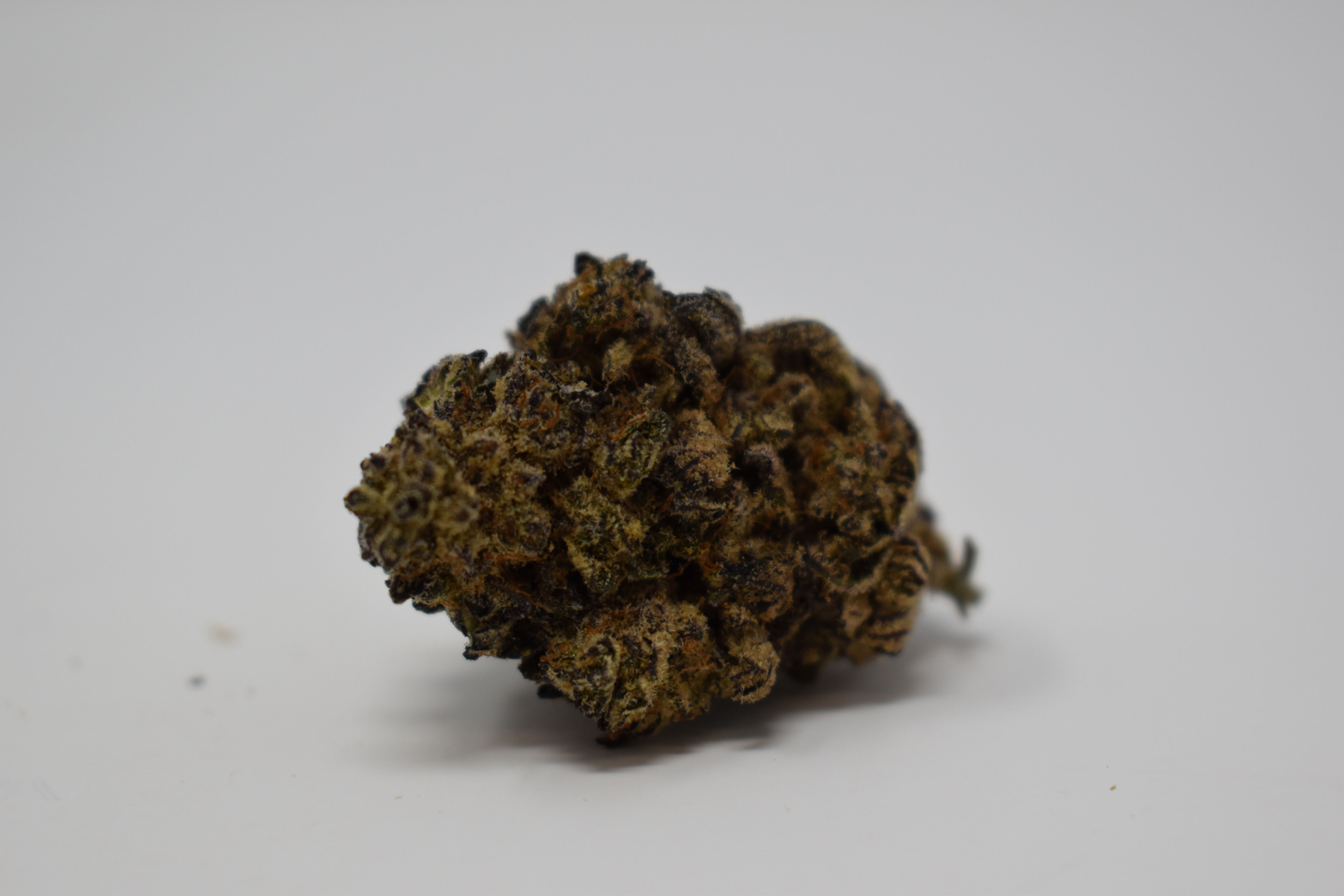 Purple Alaskan Thunder Fuck
