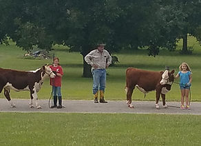 302G What a man bull.jpg