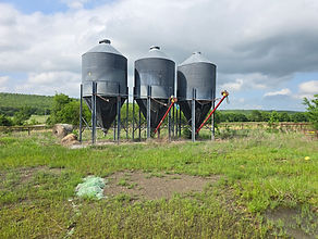 20260416_163104.jpg