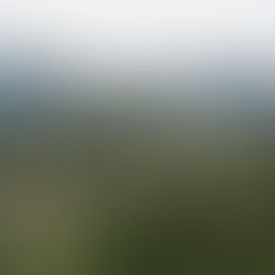 Social License Recognized as Essential Pillar in Sustainable Development