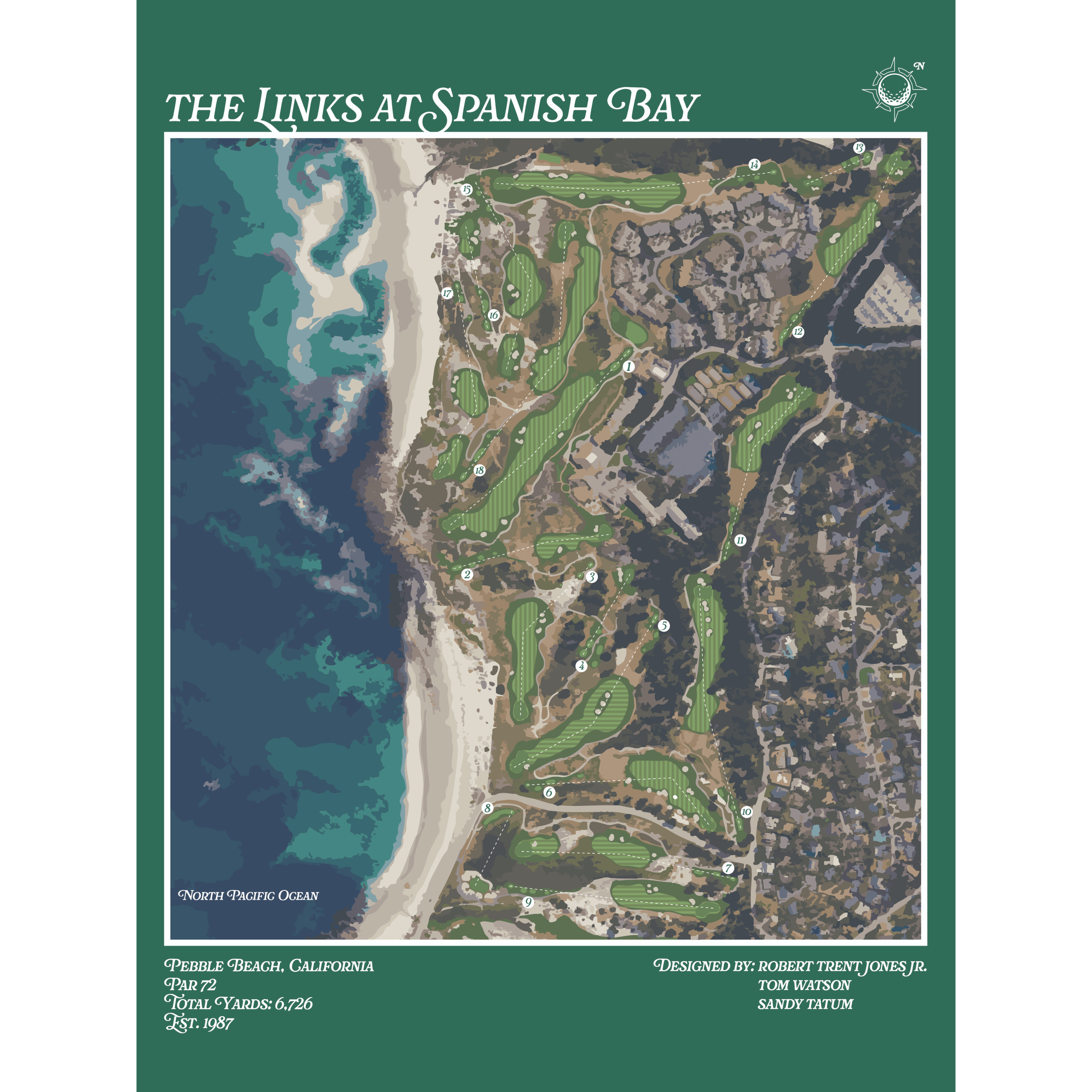 Spanish Bay Albatross