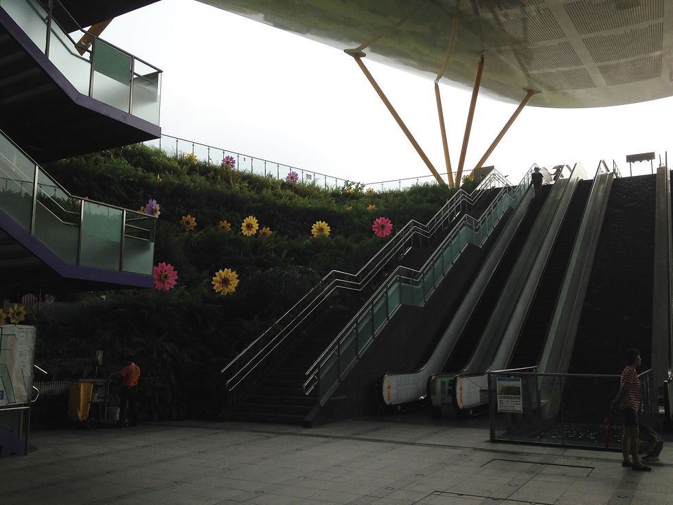 写真 (3)