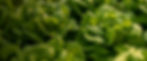 Cabecera-Labranza-Campo-Cultivo-2.jpg