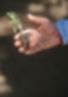 Imagen-Inicio-Labranza-Campo-Cultivo-3.1.jpg