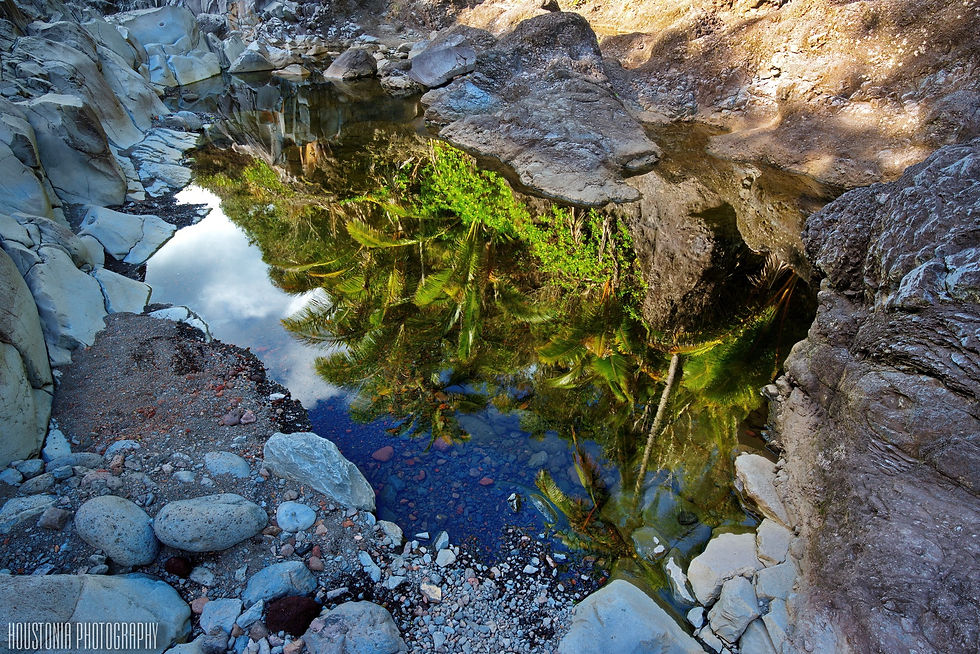Reflections of Paradise, Maui