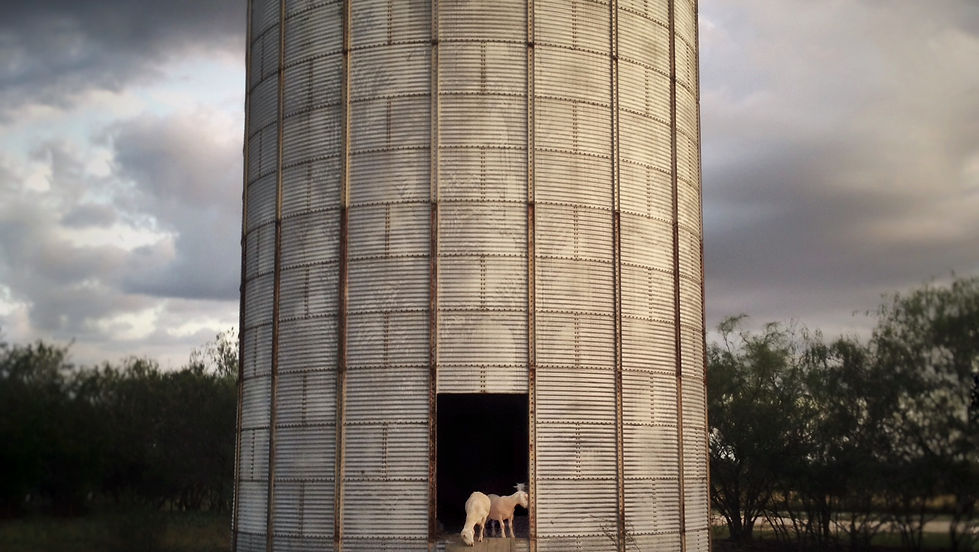 Movie in the Silo Saturday April 28th