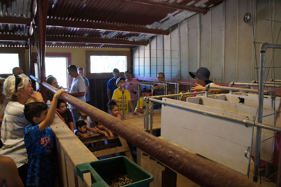 farm tour -2017- DSC01814 (3)