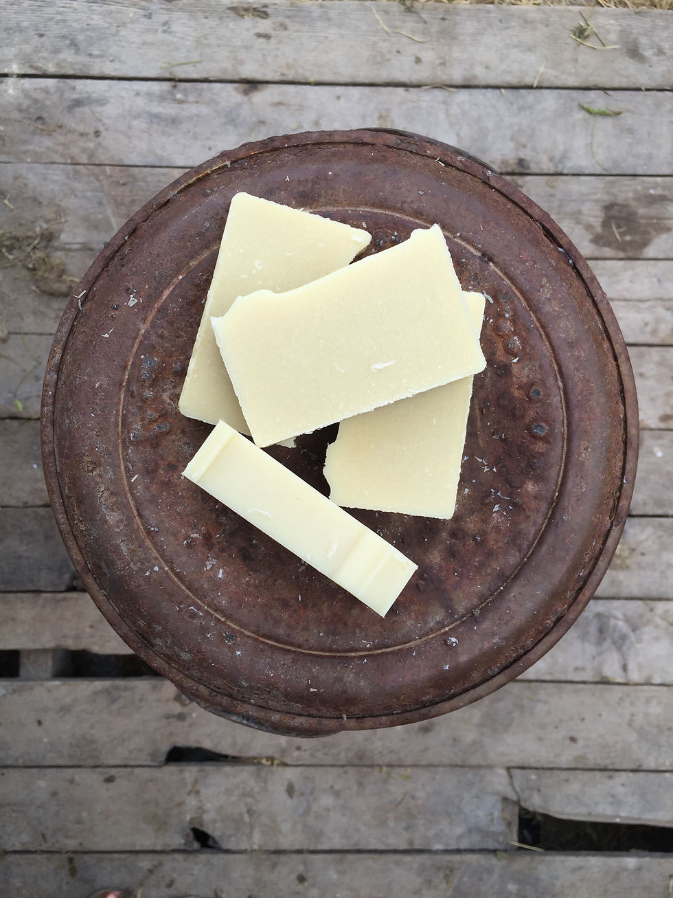 Unscented Goats Milk Soap