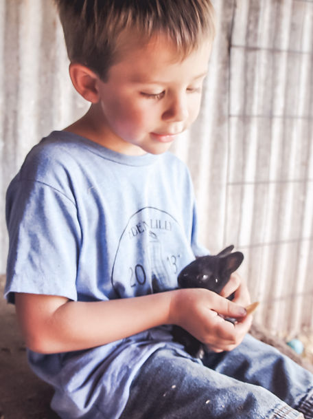 Farm Camp 2018- Day Two DSC05663 (31).jp