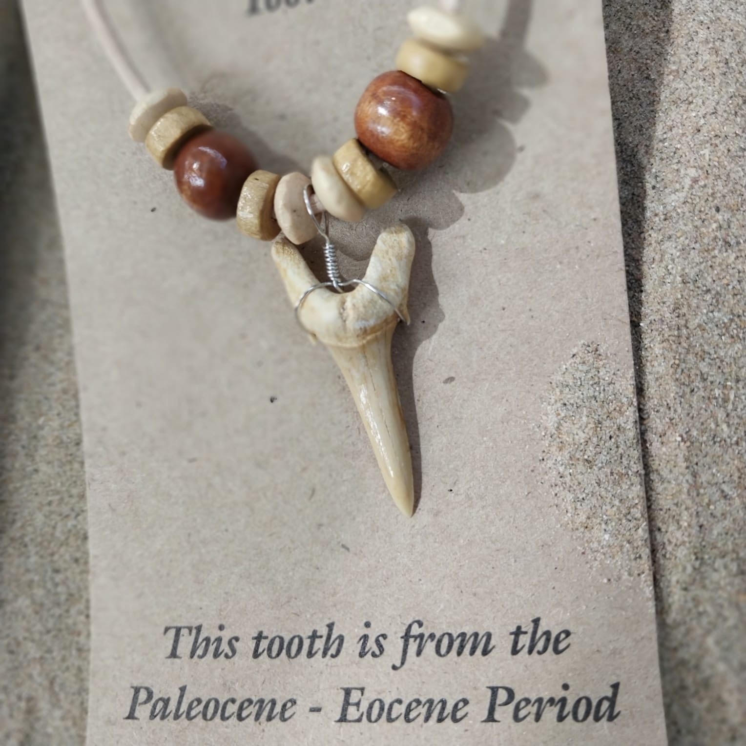 African Bone Code 5