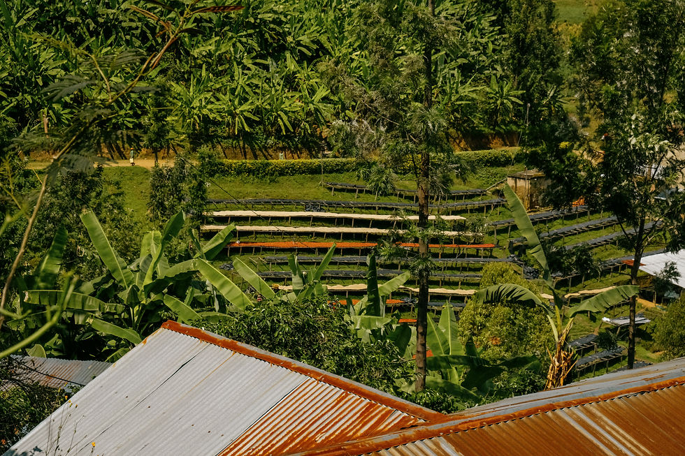 Miniature : Rwanda Gaseke