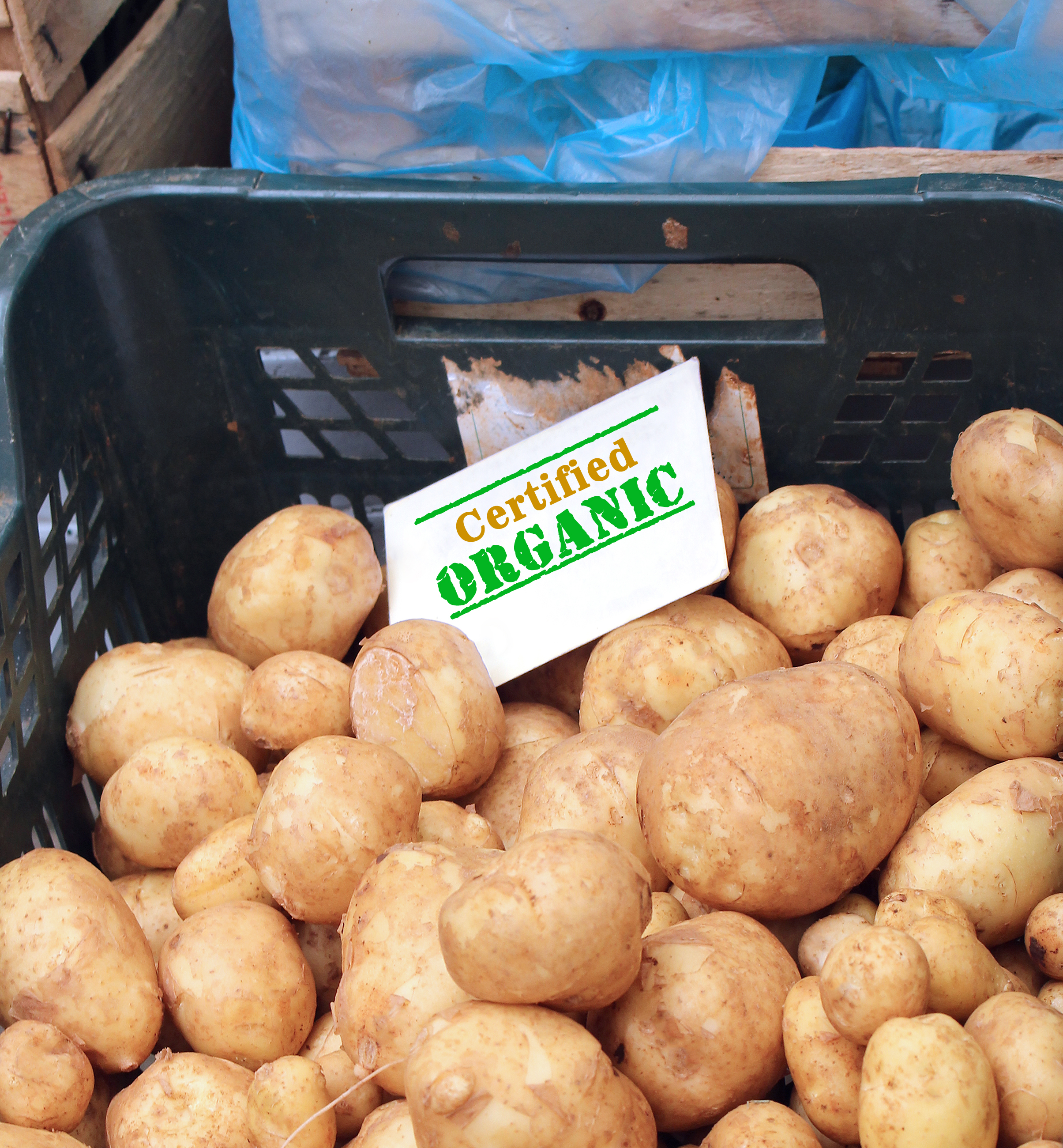 Organic Potatoes