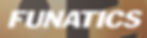 Funatics_banner.jpg