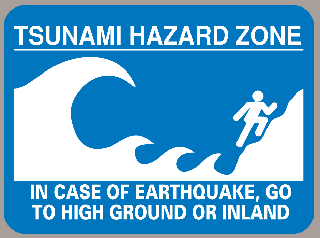 tsunami12