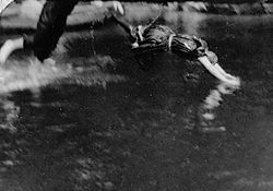 45c, woman diving