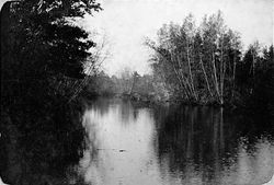 1a, Squam River
