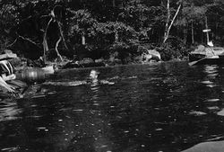 33d, swimming from raft