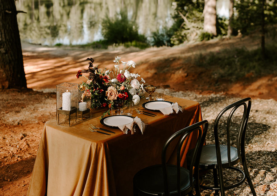 golden hour, the lake at apple hill, placerville weddings, sacramento wedding coordinator, forest wedding, boho wedding, california wedding, wedding updo