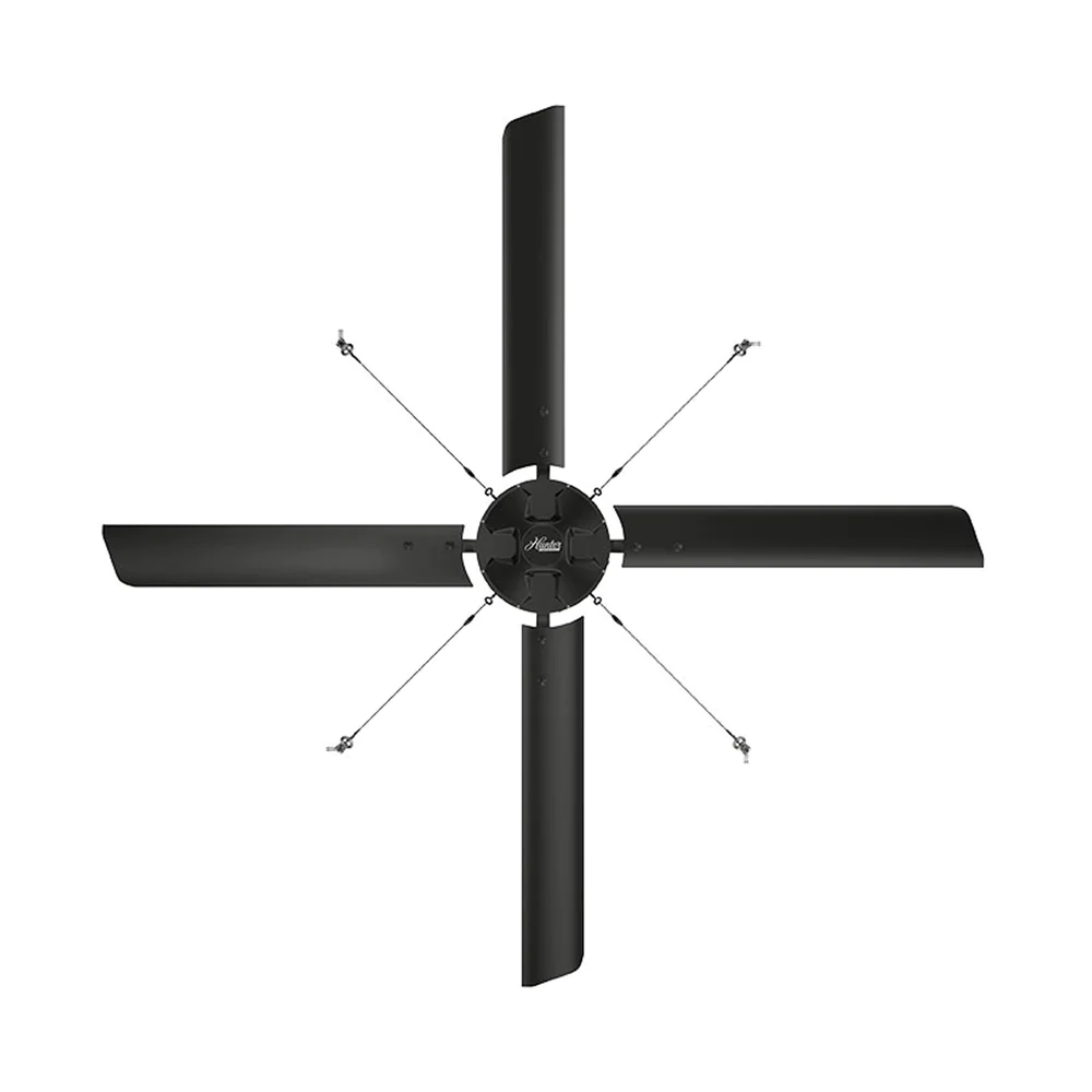 Eco-2000x2000_1000x.webp