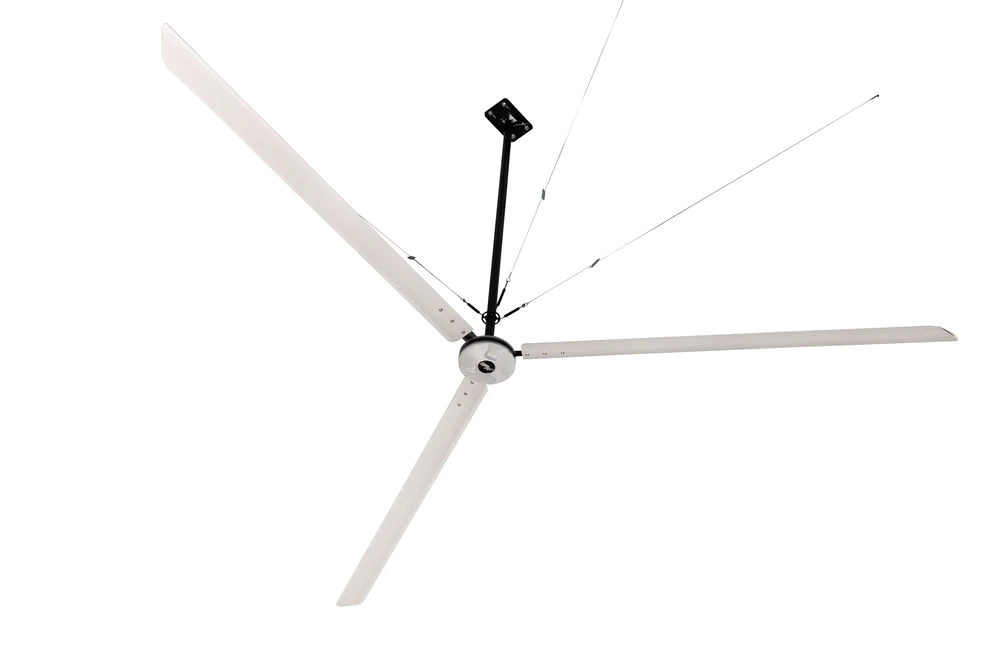 DDI HVLS Fan.webp