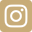Vector-1.png