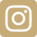Vector-1.png
