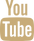 Vector.png