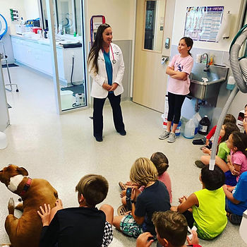 Veterinarian, Key West Pets, FKSPCA, Dogs, Veterinary Clinic Big Coppit, Keys Animal Care Center