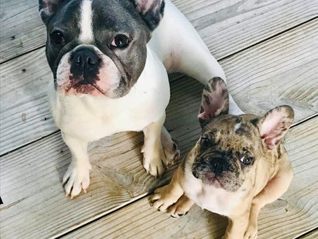 October Patient of the Month: 2019