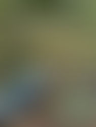 稲佐山ピクニックコンサート🎵