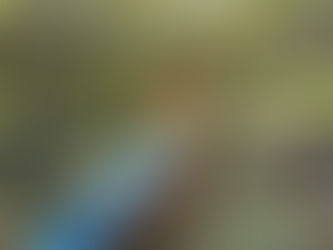 稲佐山ピクニックコンサート🎵