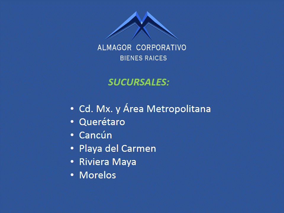 Diapositiva6