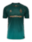 camisa do werder bremen verde
