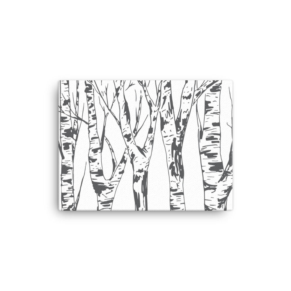 Birch Sketch Canvas
