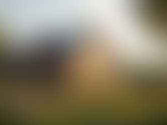 Advantages of Natural Building Materials in Eco-Friendly Construction Materials