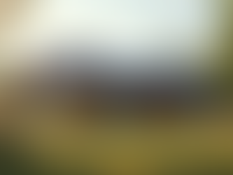 Affordable Eco-Homes: Sustainable Building in Portugal